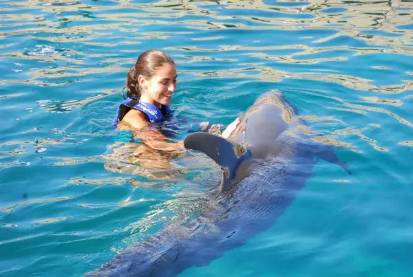 Xel-Há + Nage avec les Dauphins Splash