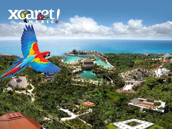 Xcaret Plus + Dolphin Swim Primax