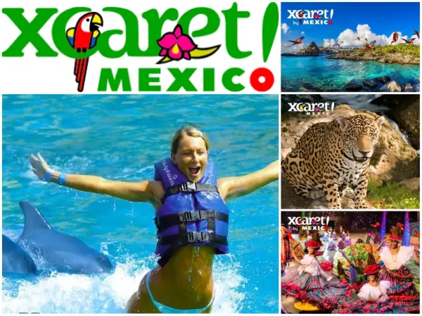 Xplor Día + Nado Primax