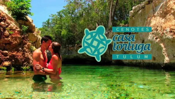 Cenotes Casa Tortuga