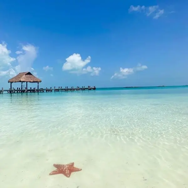 Isla Contoy & Isla Mujeres