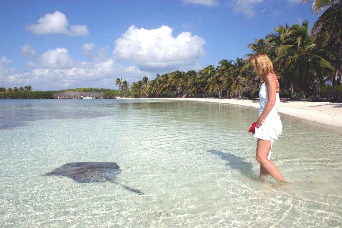 Isla Contoy & Isla Mujeres - Foto 6