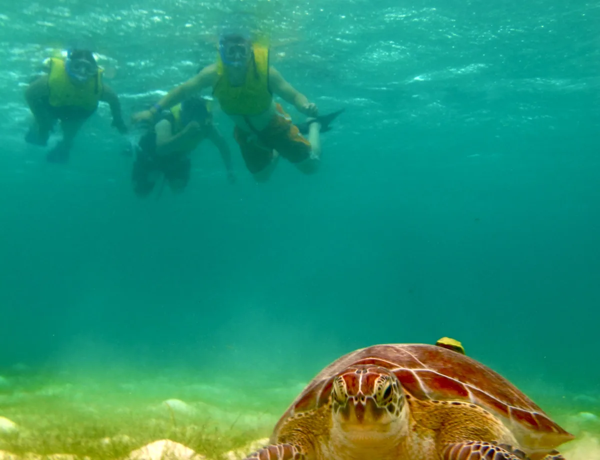 Tulum - Akumal - Cenote - Foto 1