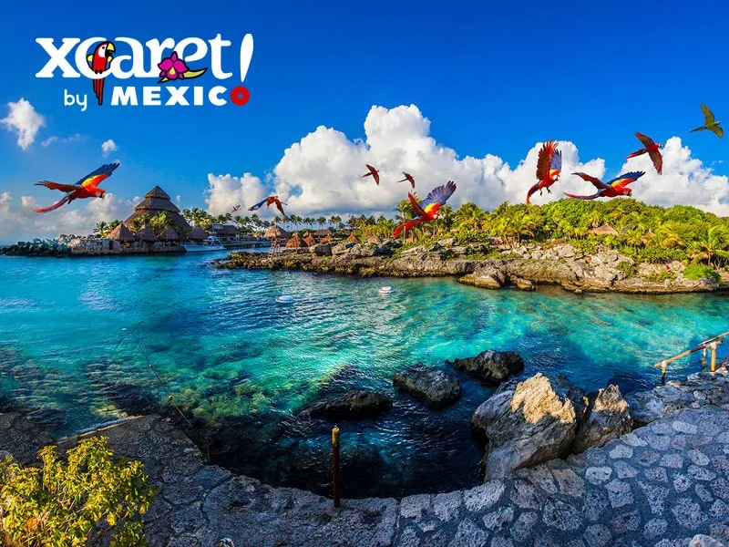 Xcaret Plus + Nado Primax - Foto 3