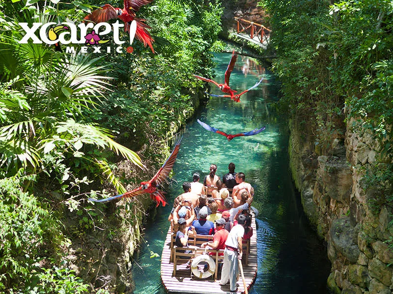 Xcaret Plus + Nado Primax - Foto 4