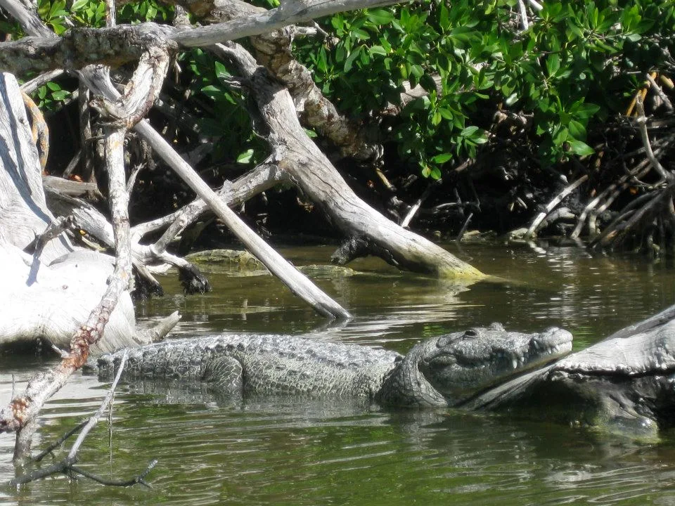 Sian Ka'an Deluxe - Foto 11