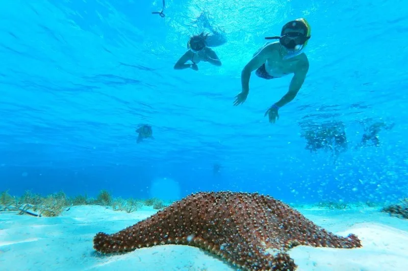 Cozumel Catamaran el Cielo - Foto 5