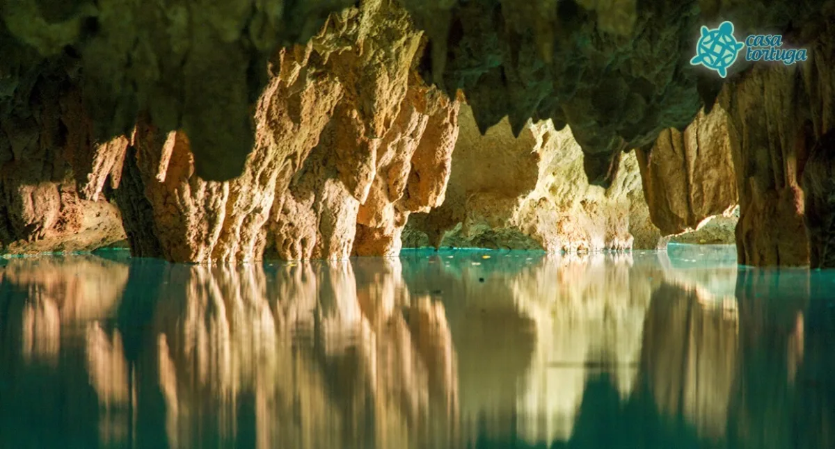 Tulum - Cenotes Casa Tortuga - Foto 3