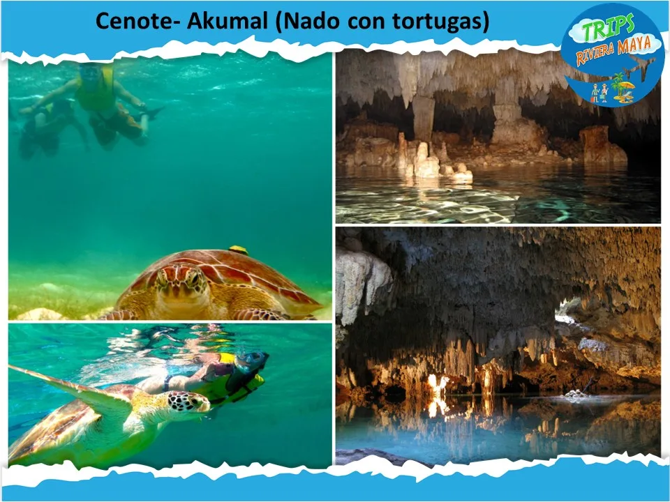 Akumal - Cenote Express - Foto 2