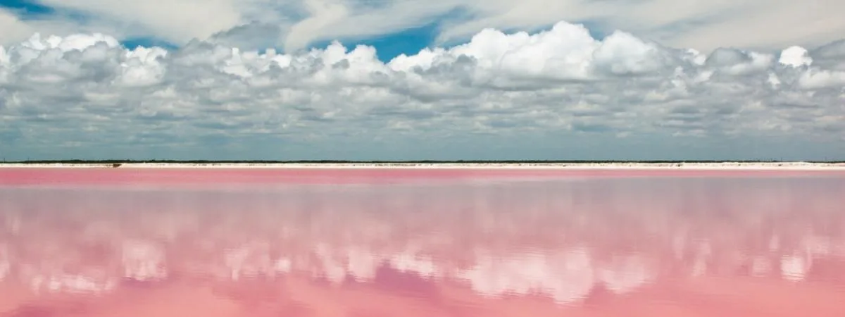 Las Coloradas - Photo 4