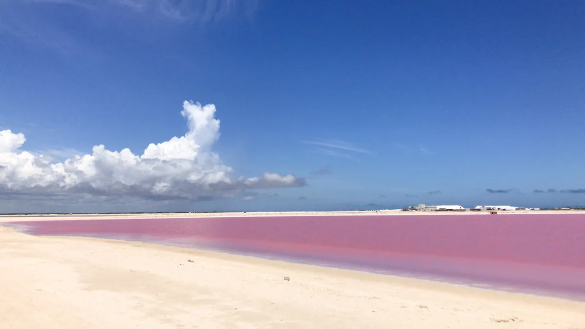 Las Coloradas - Photo 5