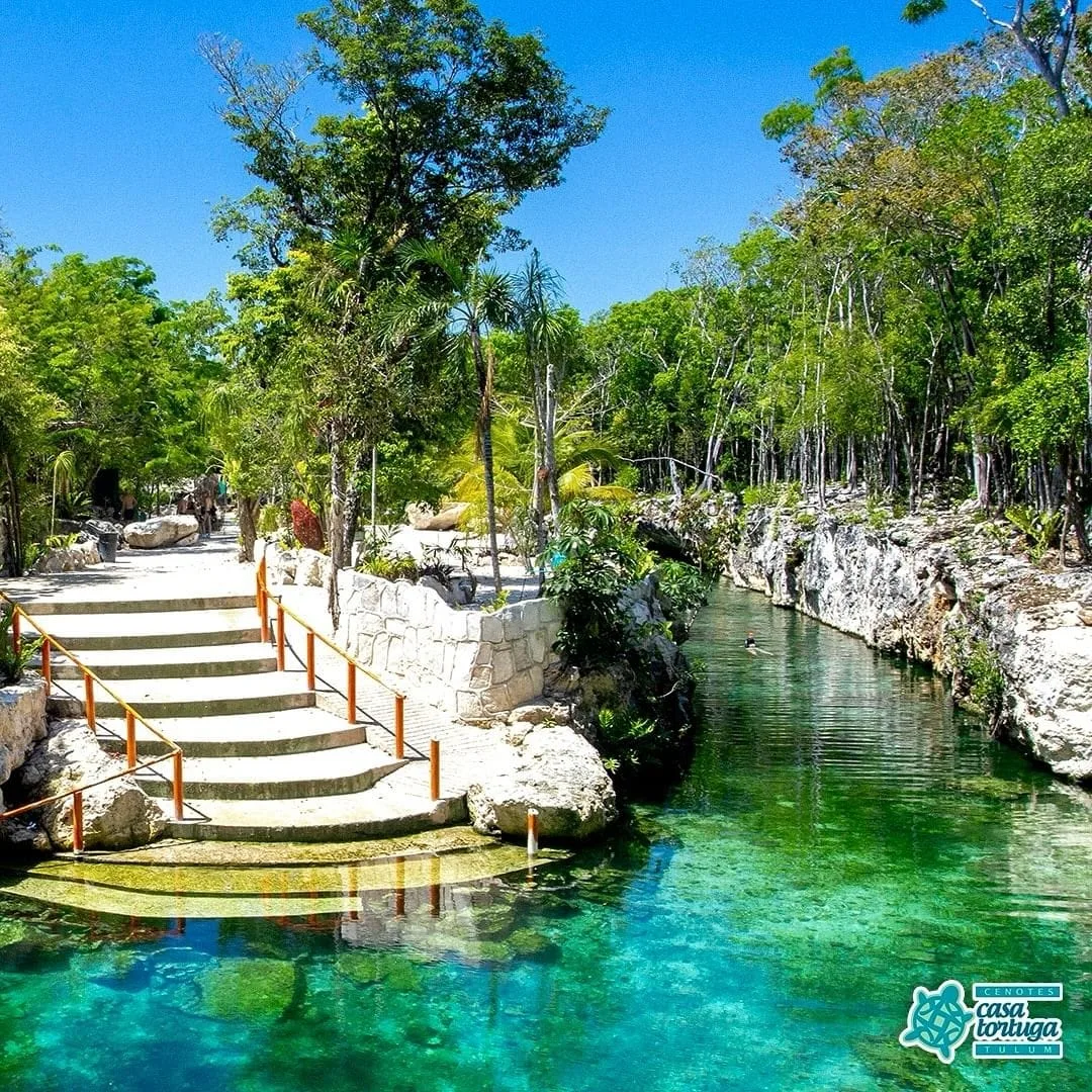 Tulum - Cenotes Casa Tortuga - Foto 4