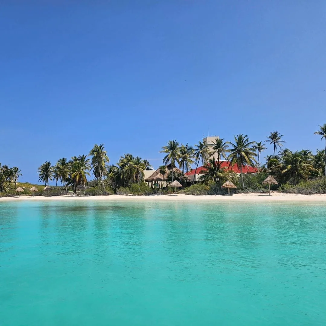 Isla Contoy & Isla Mujeres - Foto 4