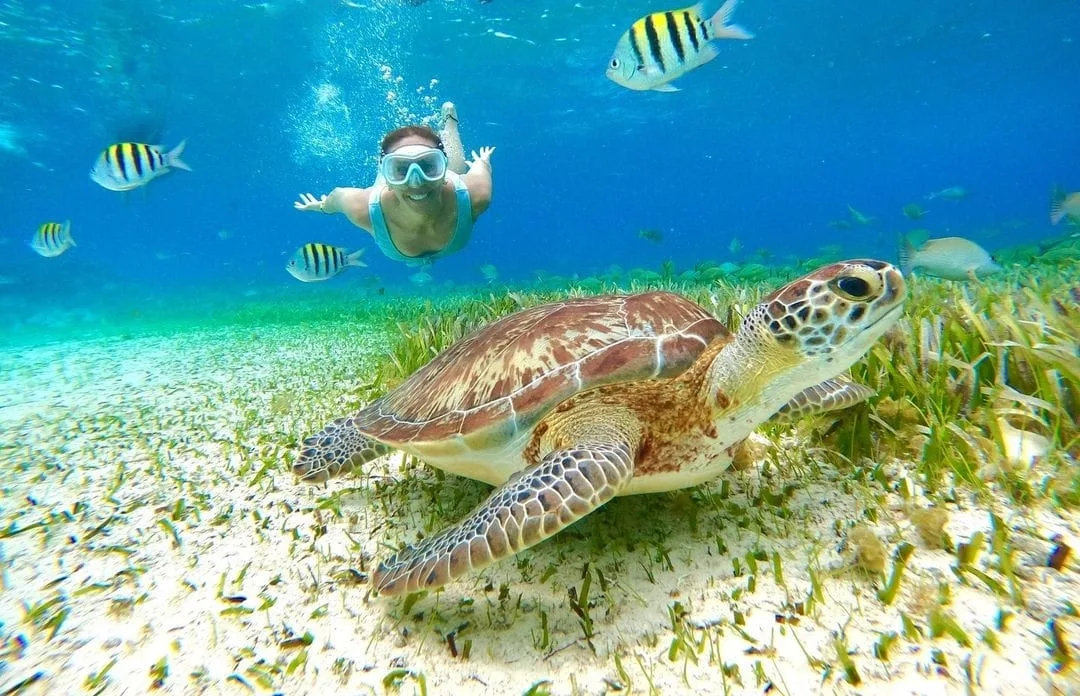 Akumal Express - Foto 1