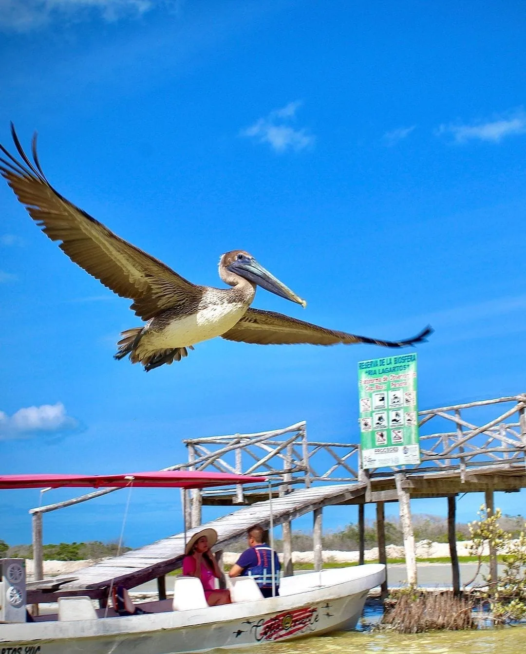 Las Coloradas - Foto 5