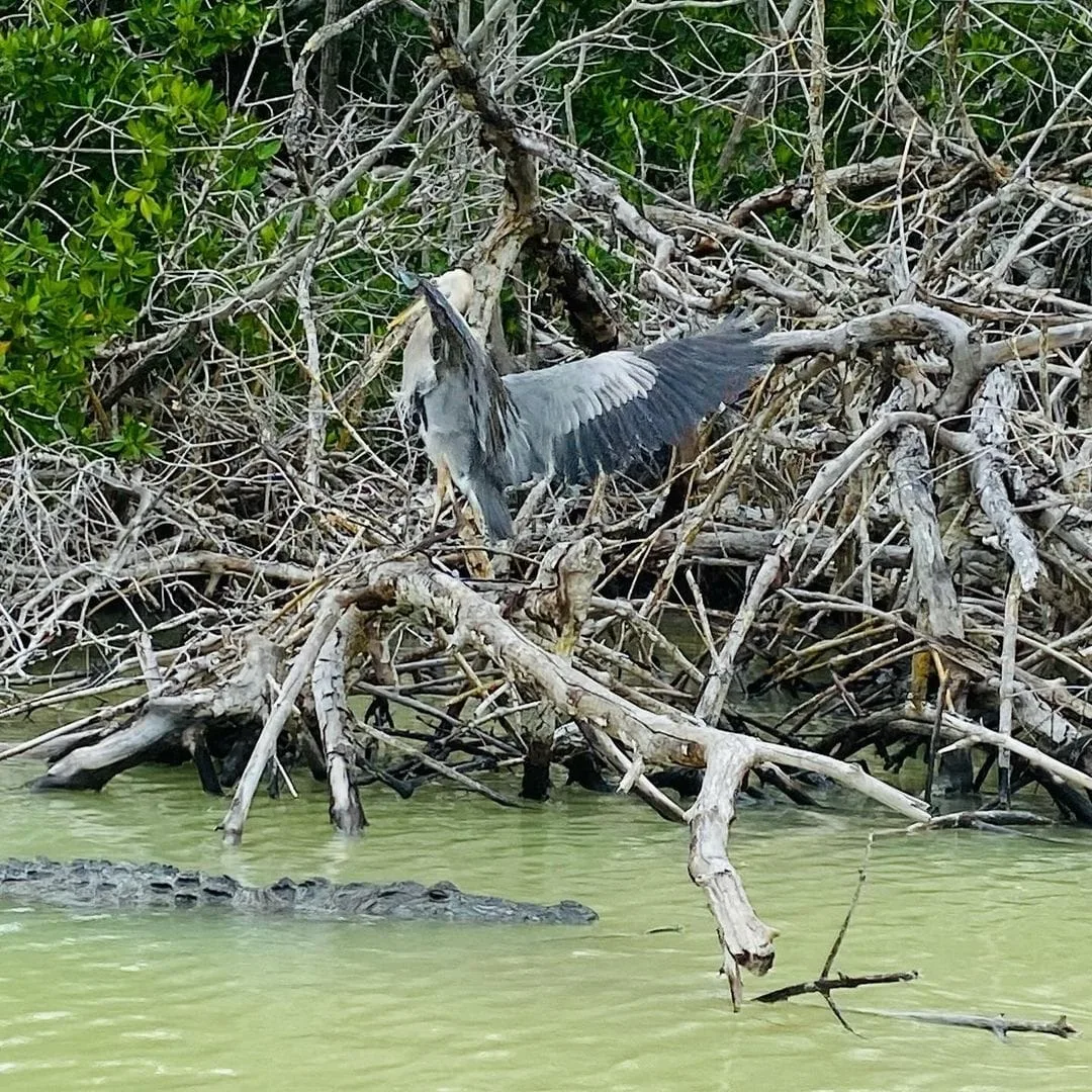 Las Coloradas - Foto 6