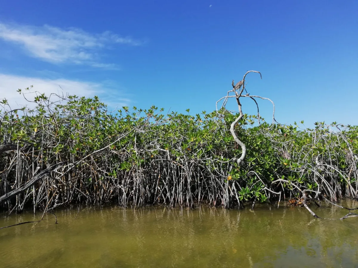 Sian Ka'an Deluxe - Foto 6