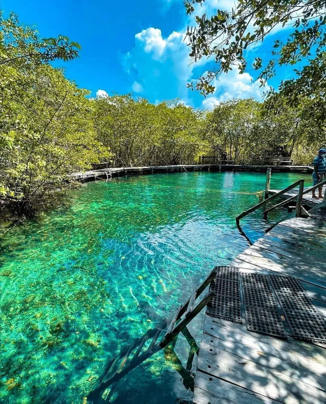 Isla Holbox Plus - Foto 6