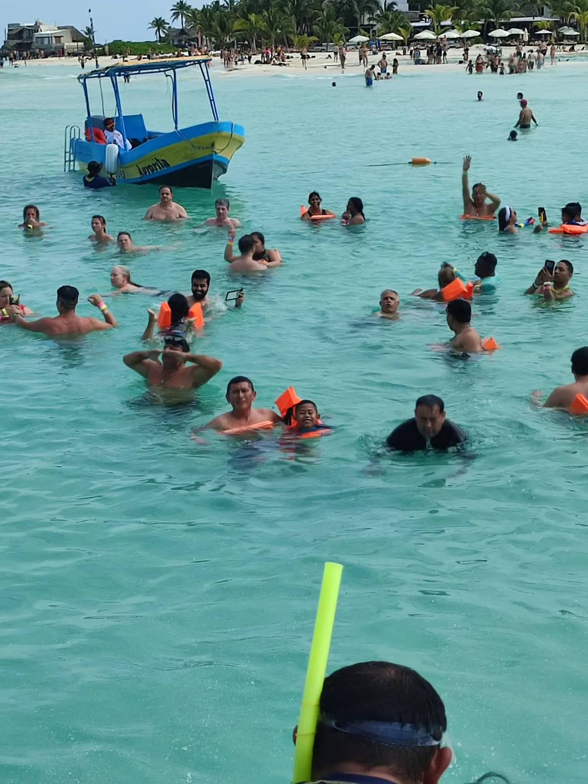 Isla Mujeres Unlimited - Foto 5