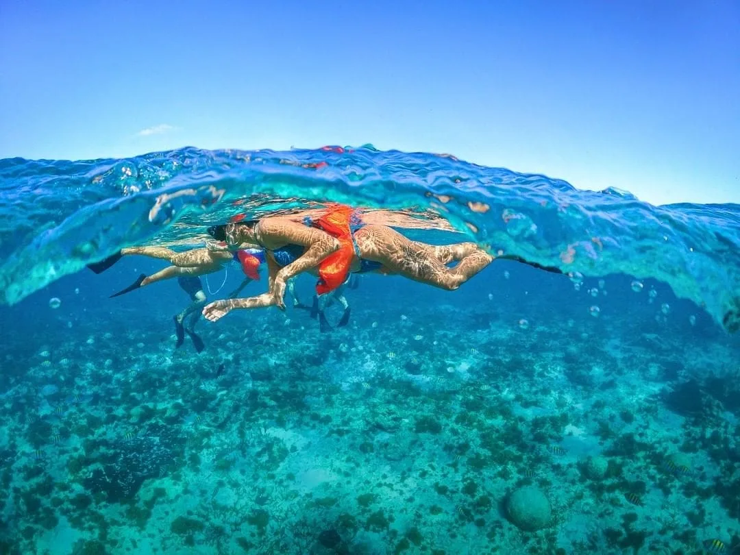 Isla Mujeres Unlimited - Foto 8