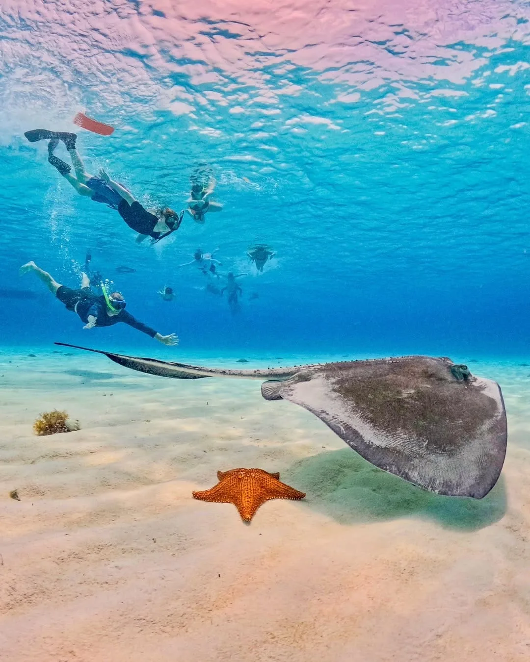 Cozumel en Lancha - Foto 3