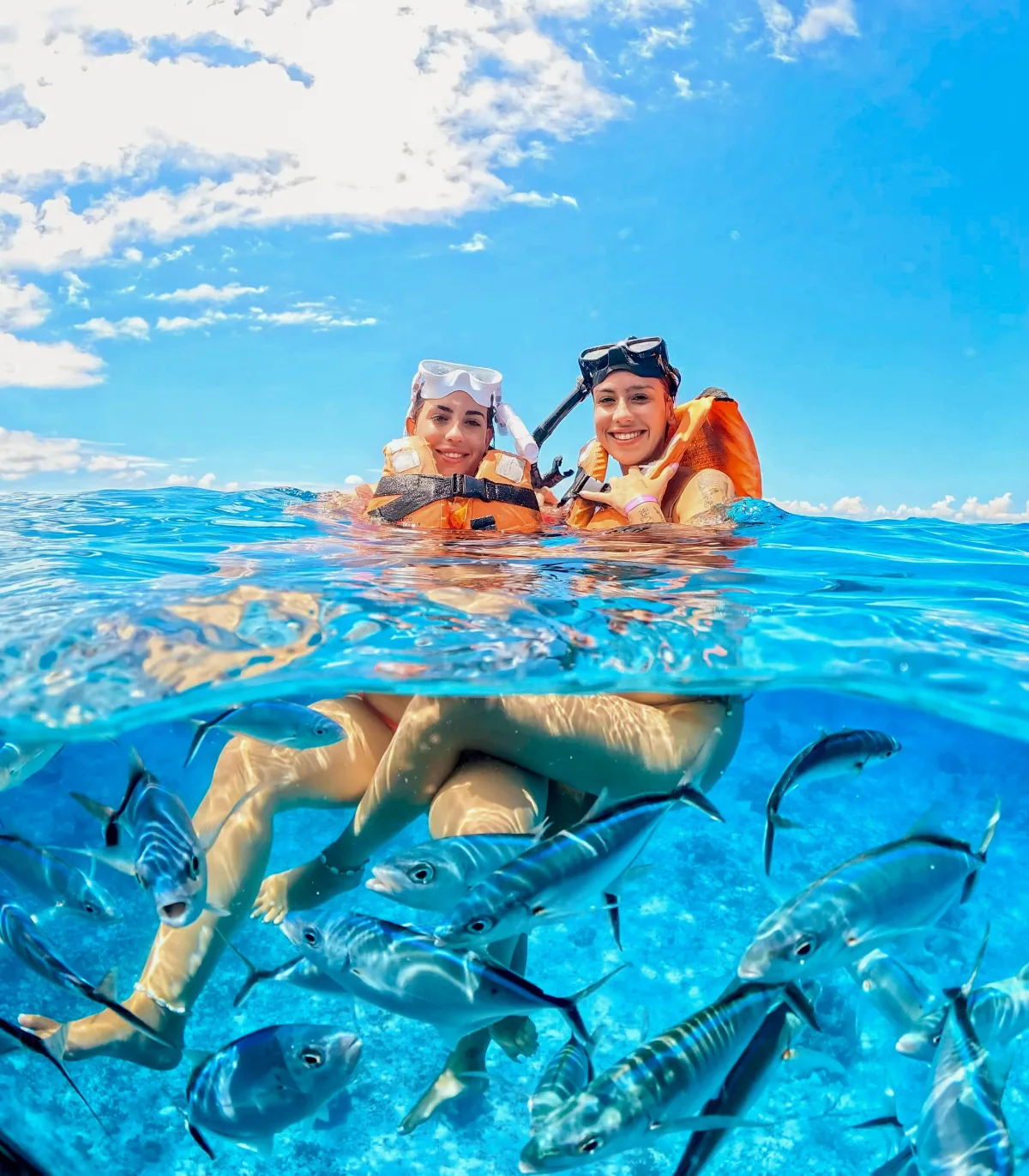 Cozumel en Lancha - Foto 4