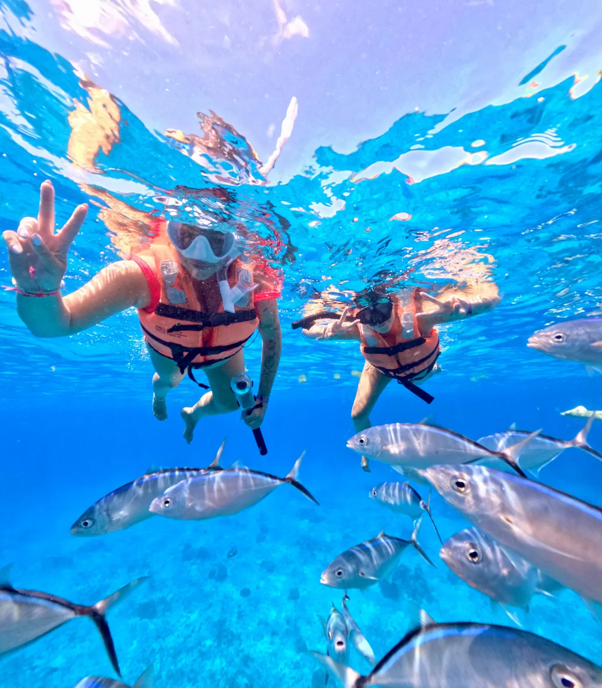 Cozumel en Lancha - Foto 6