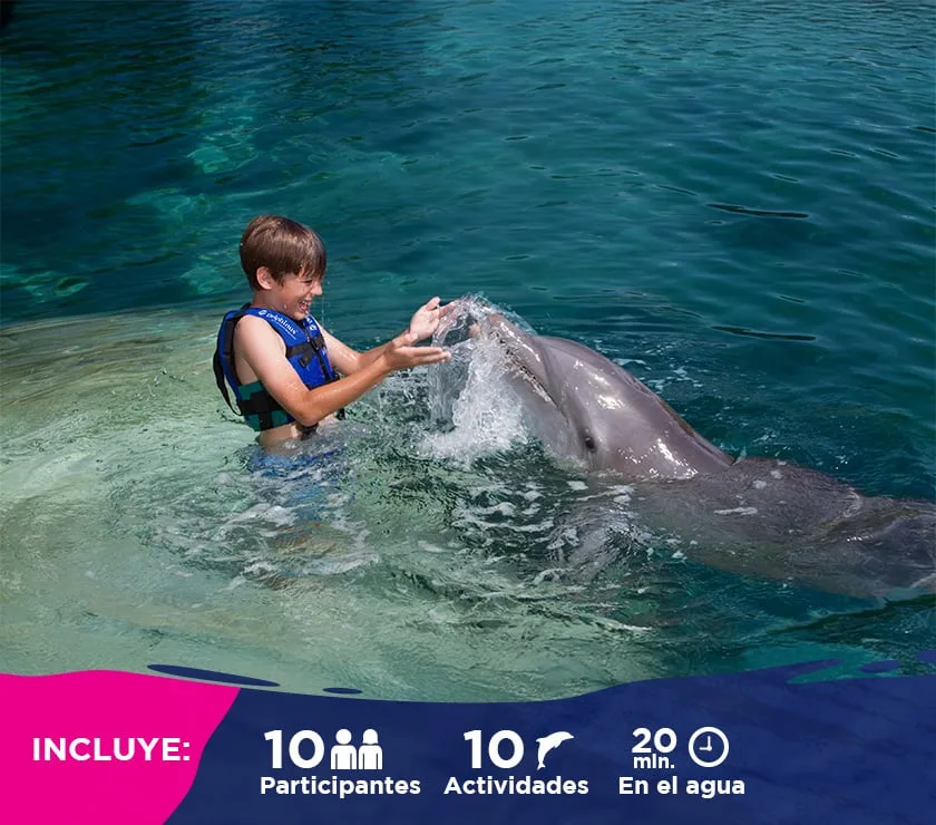 Nado Harmony - Foto 1