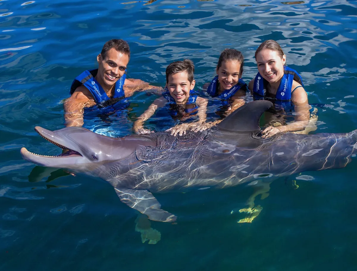 Nado Harmony - Foto 3