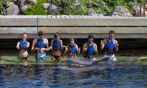 Nado Interax - Foto 3