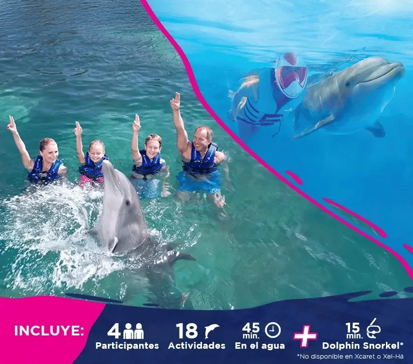 Nado Primax - Foto 1