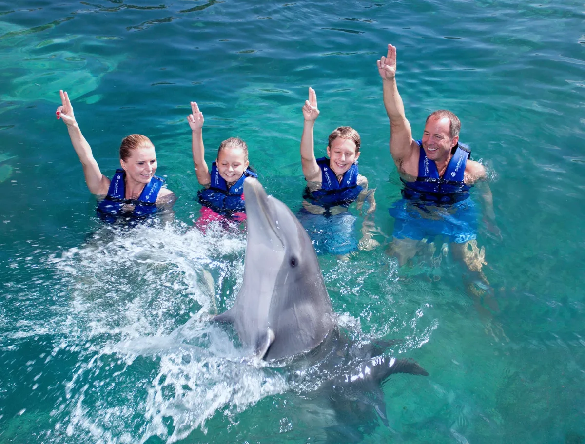 Nado Primax - Foto 2