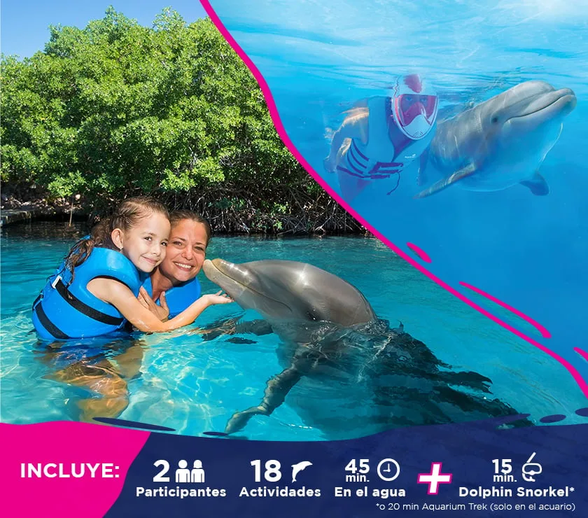 Nado Couples Dreams - Foto 1