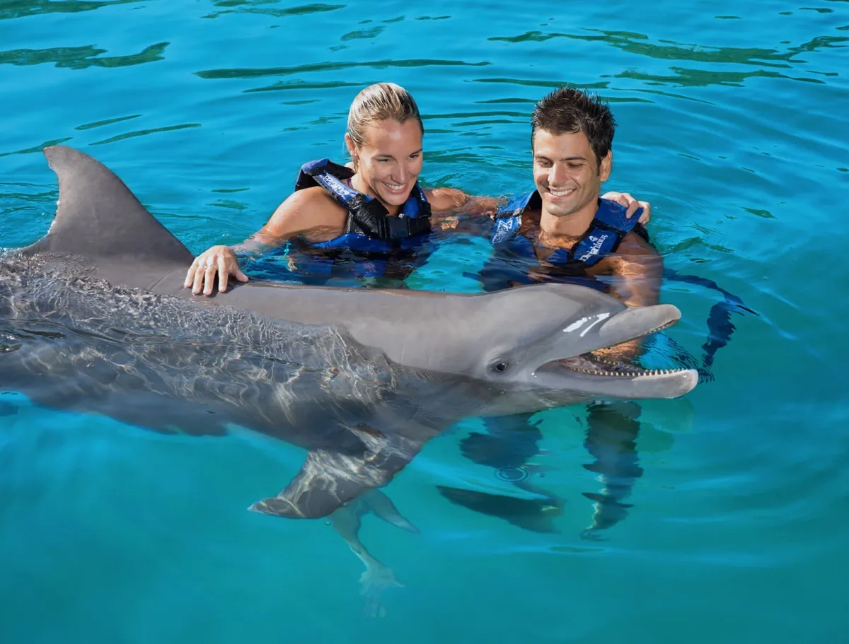 Nado Couples Dreams - Foto 3