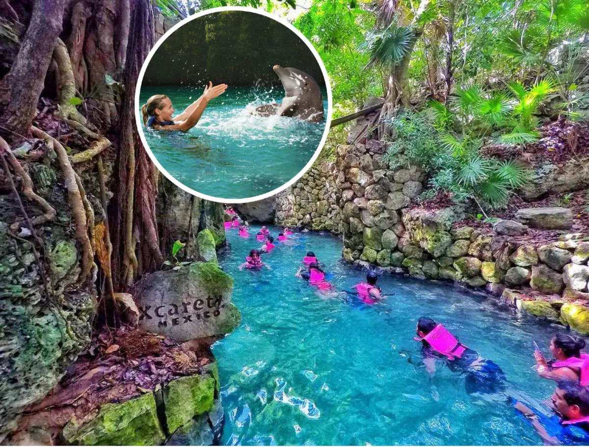 Xcaret Plus + Nado Primax - Foto 2