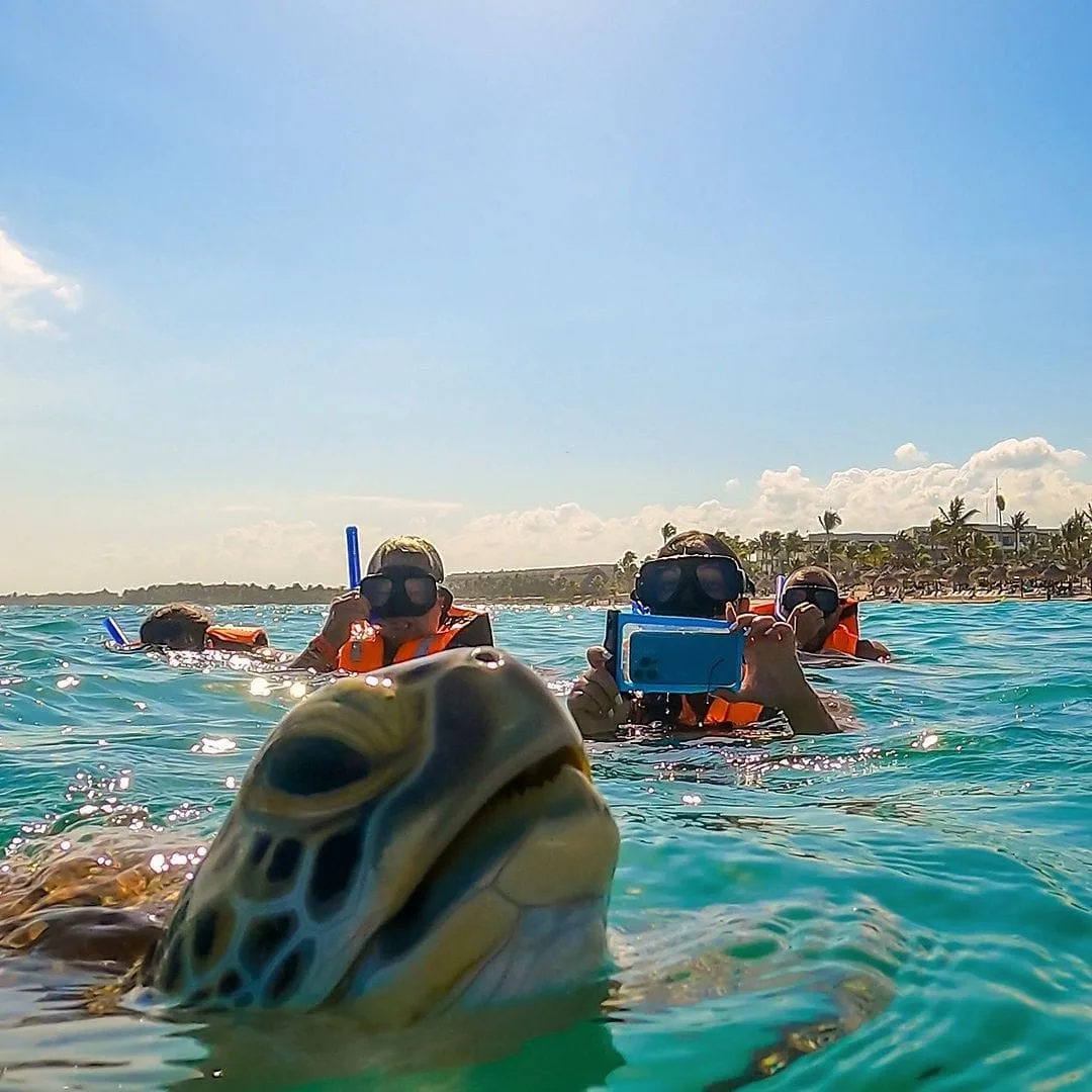 Akumal Express - Foto 6