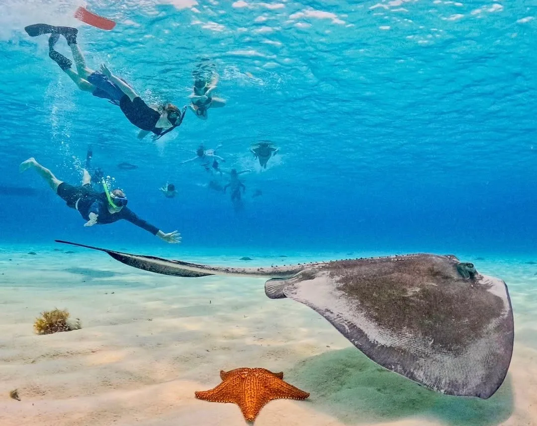 Cozumel el Cielo & Beach Experience - Foto 1